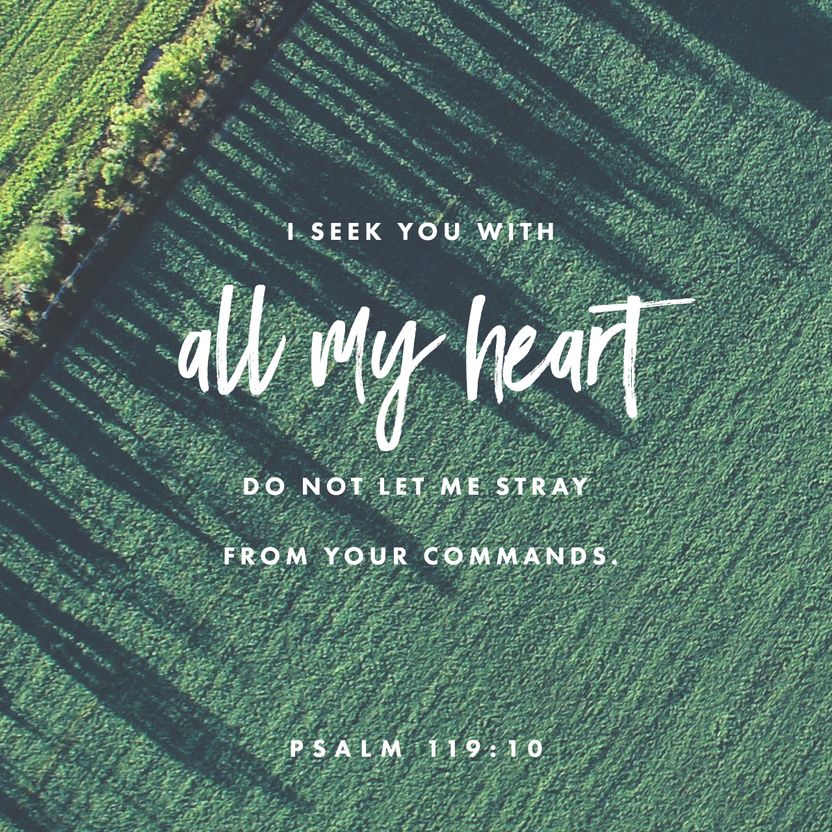 Psalm 119:10