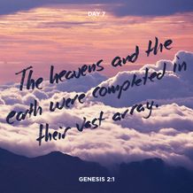Creation Series Day 7