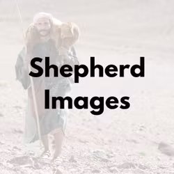 Shepherd Images