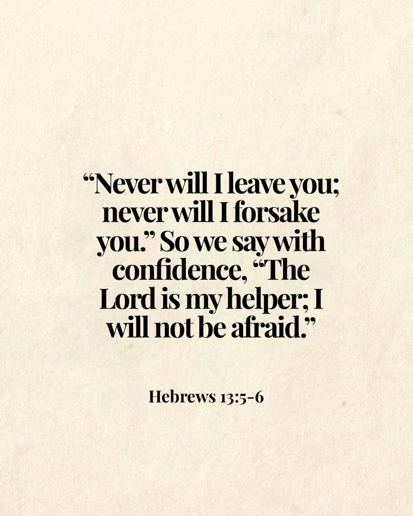 Image 06