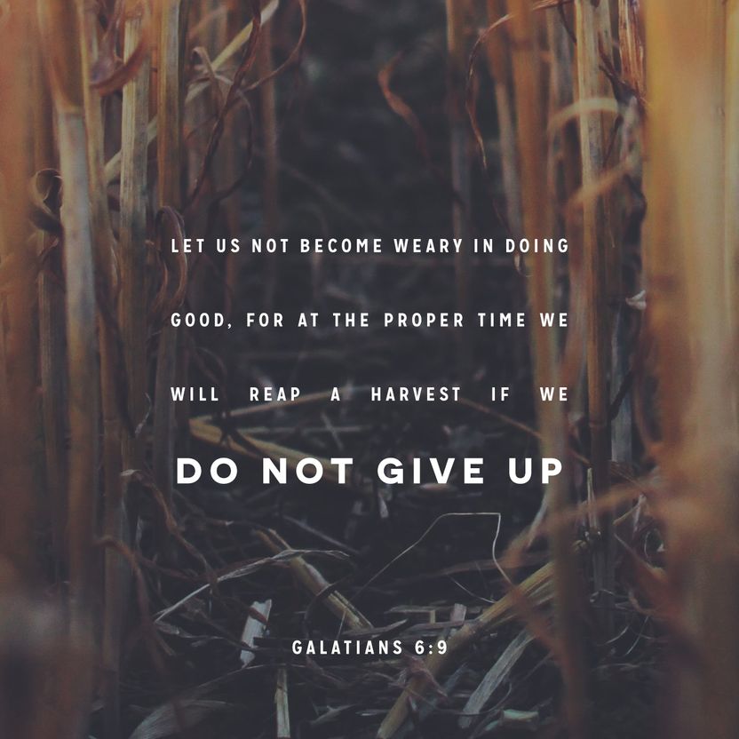 Galatians 6:9