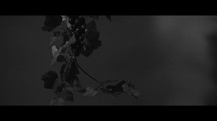 Still 13