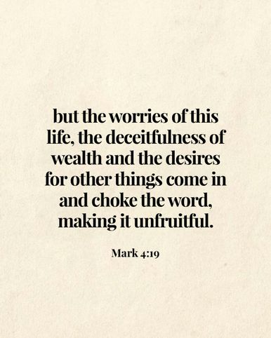Image 03