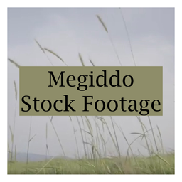 Megiddo Stock Footage (MOV)