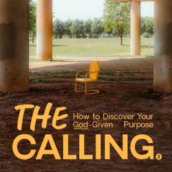 The Calling: How to Discover Your God-Given Purpose - Switch