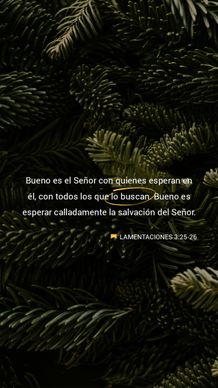 24 de enero - Vertical