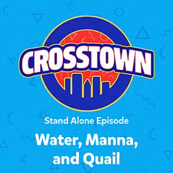 Water, Manna, and Quail