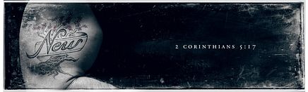 Banner 6