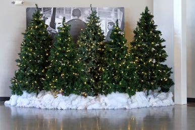 Christmas Tree 9