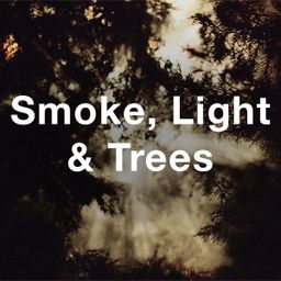 Stock Videography: Smoke, Light & Trees