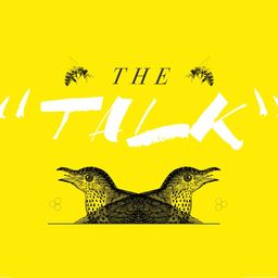 “The Talk” - Switch