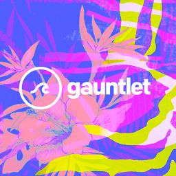 Gauntlet 2017 - Fuse