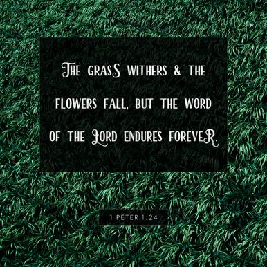 1 Peter 1:24