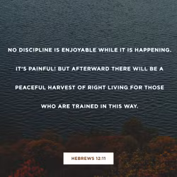 Hebrews 12:11