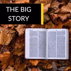 The Big Story