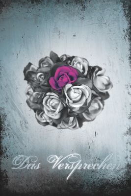 Das Versprechen Series Artwork