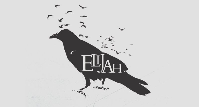 Banner 4