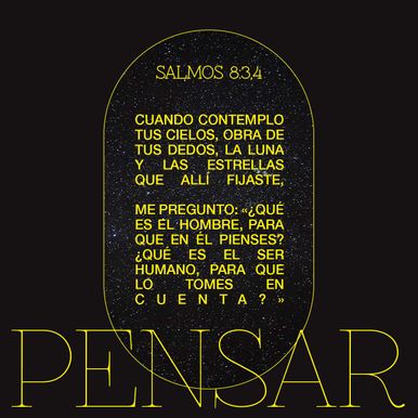 26 de enero - Plaza