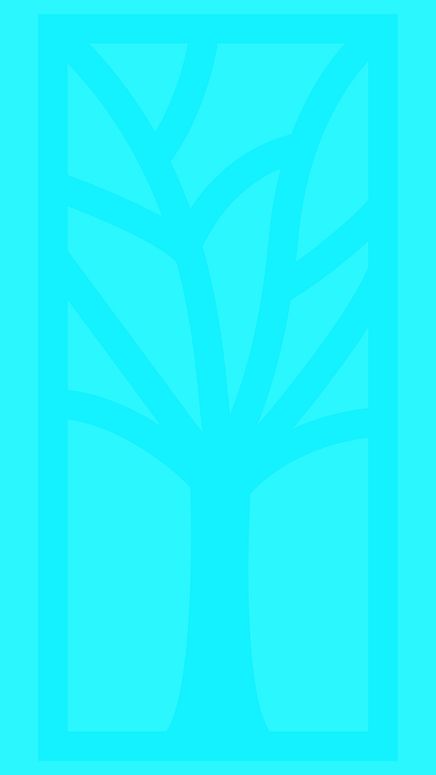Story 5