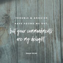Psalm 119:143