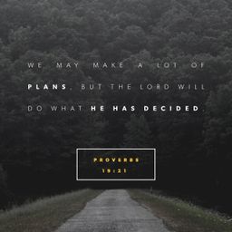 Proverbs 19:21