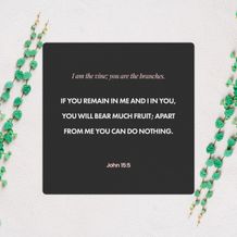 John 15:5