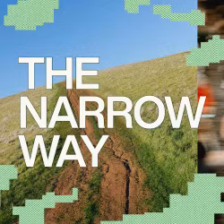 The Narrow Way - Switch
