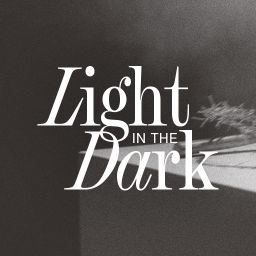 Light in the Dark - Switch