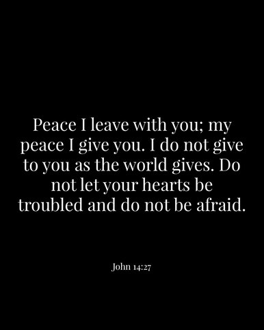Image 04