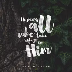 Psalm 18:30