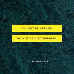 Deuteronomy 31:8