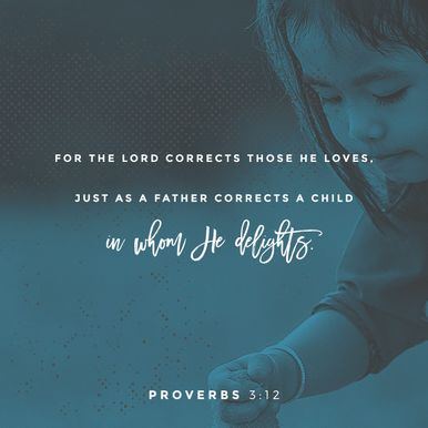 Proverbs 3:12