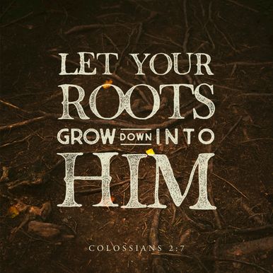 Colossians 2:7