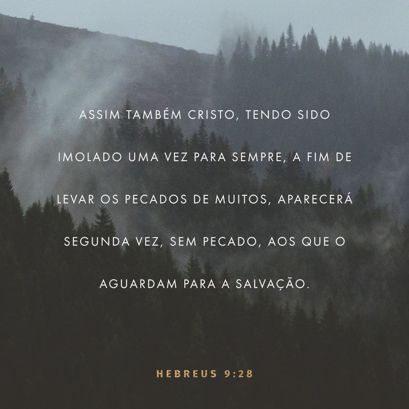 Hebrews 9:28