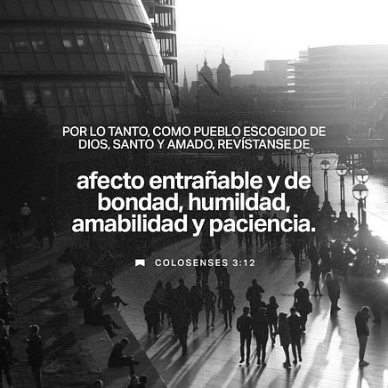 29 de diciembre - Plaza