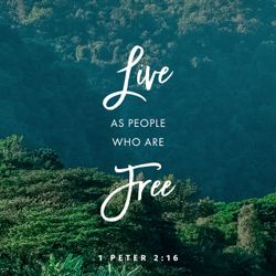 1 Peter 2:16