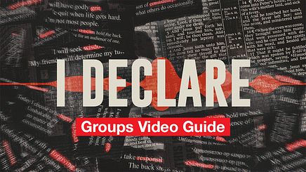 Groups Video Guide