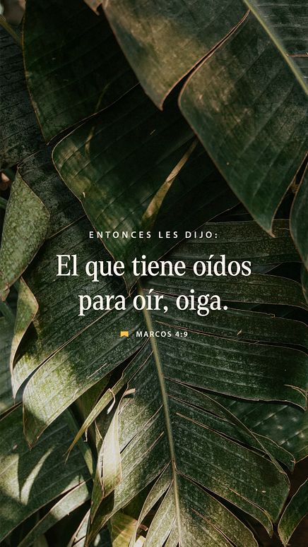 28 de enero - Vertical