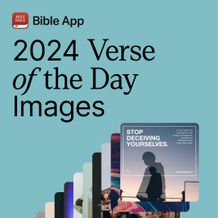 31 VOTD Images